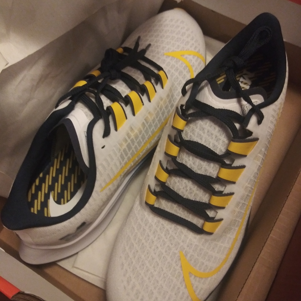 Pegasus 37 Michigan Nikes.